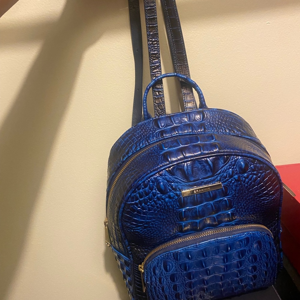 Brahmin backpack